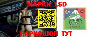 ПСИЛОЦИБИНОВЫЕ ГРИБЫ Будённовск