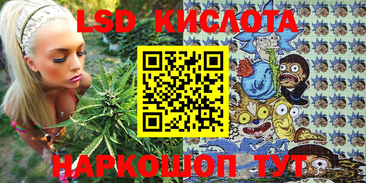 Наркотические марки 1500мкг  Вход с VPN  Наркотические марки 1500мкг  Нововоронеж 