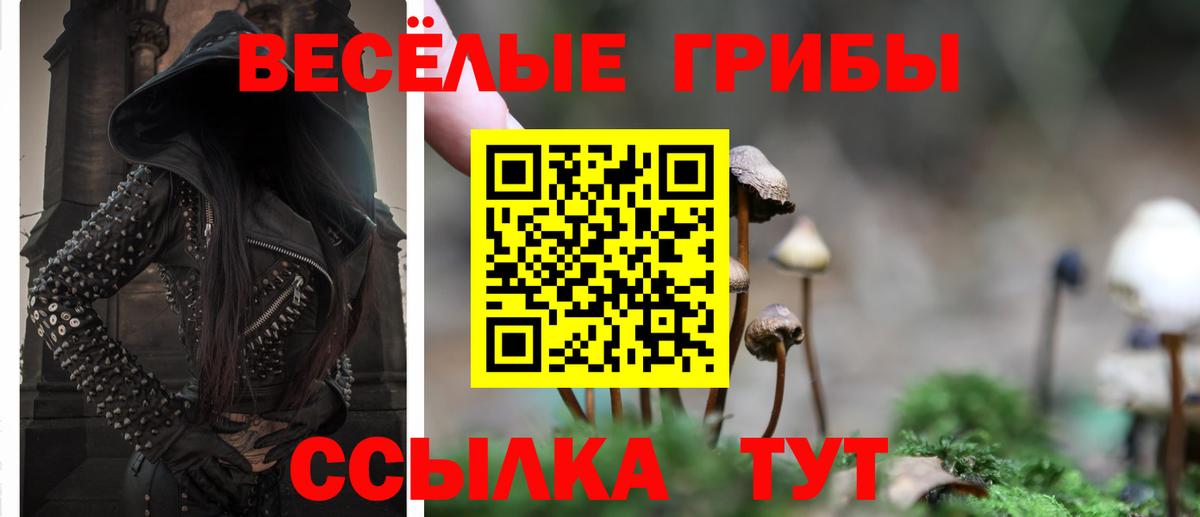 Нововоронеж  Псилоцибиновые грибы Magic Shrooms  Вход с VPN 